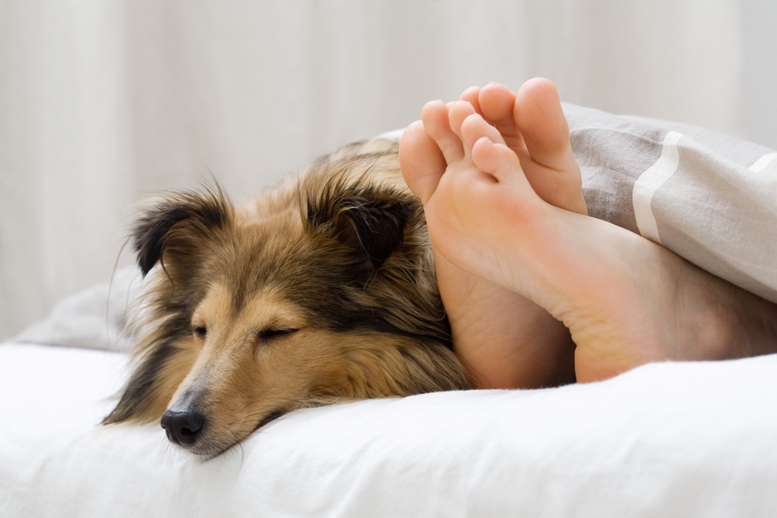 Smooth feet with dog